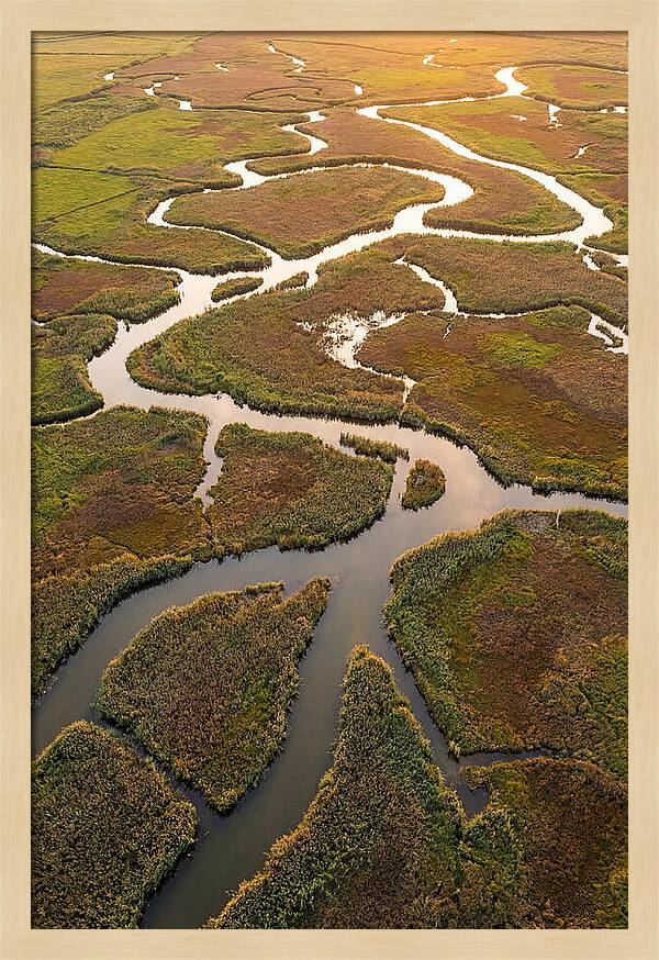 Aerial View Of Marshland Channels
