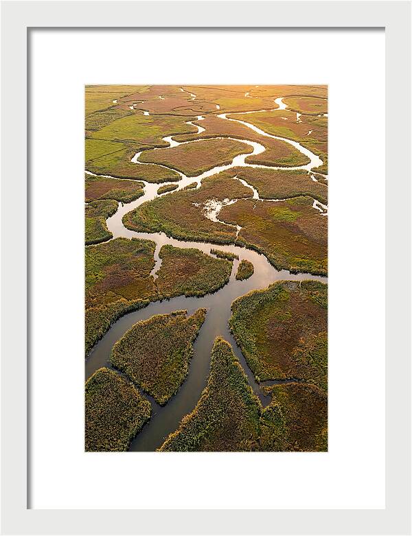 Aerial View Of Marshland Channels