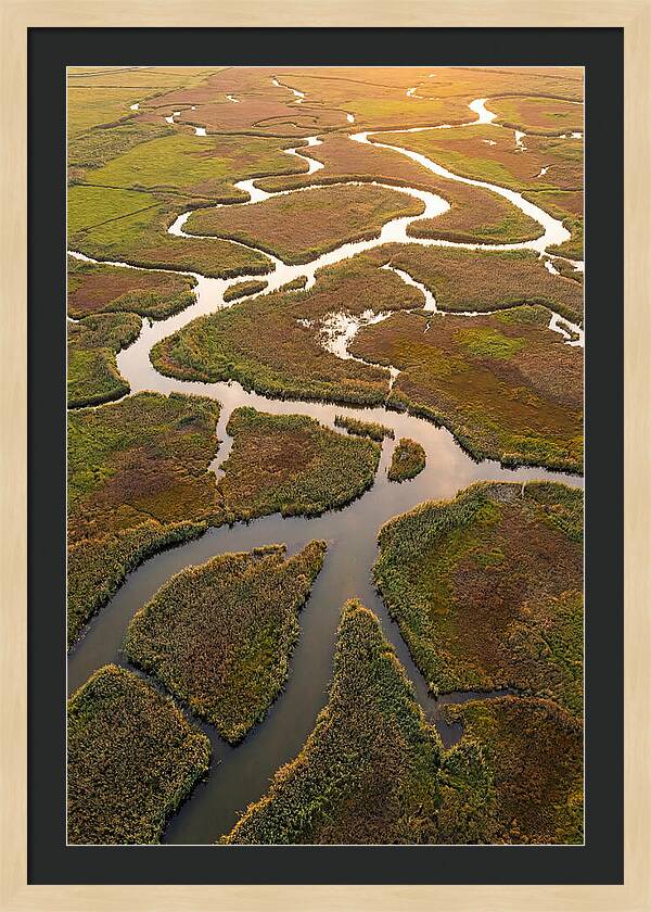 Aerial View Of Marshland Channels