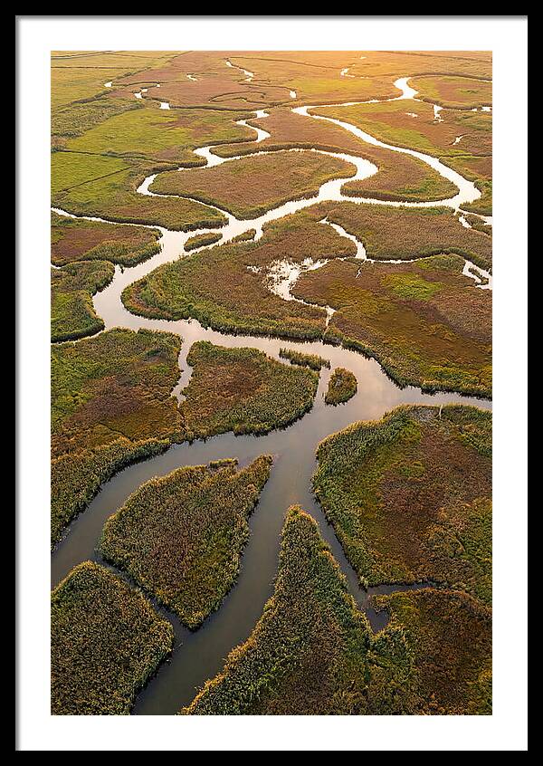 Aerial View Of Marshland Channels