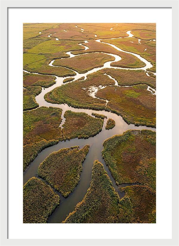 Aerial View Of Marshland Channels