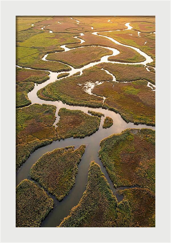 Aerial View Of Marshland Channels
