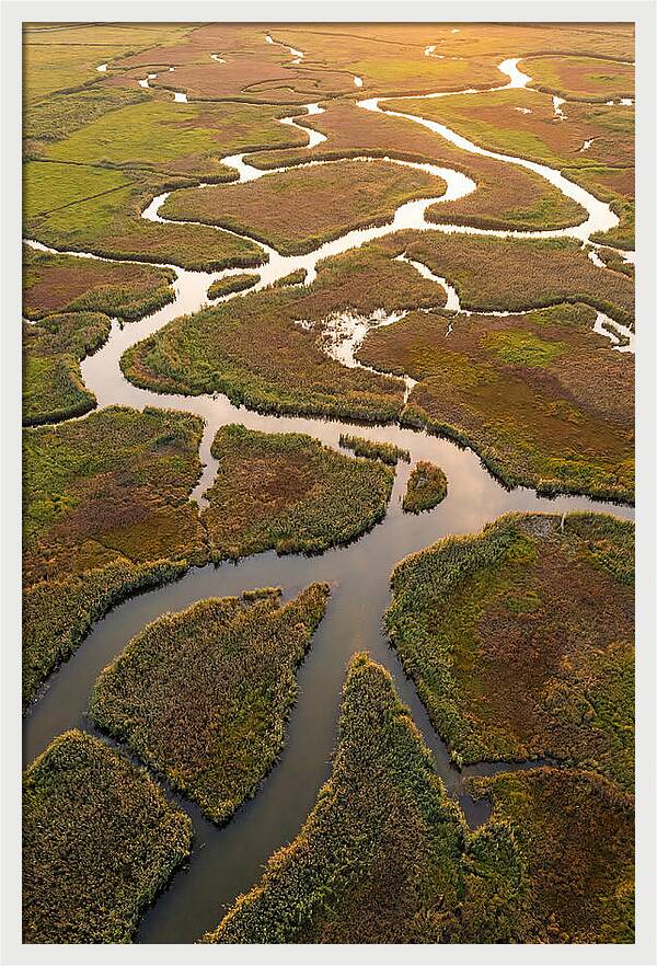 Aerial View Of Marshland Channels