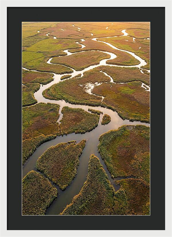 Aerial View Of Marshland Channels
