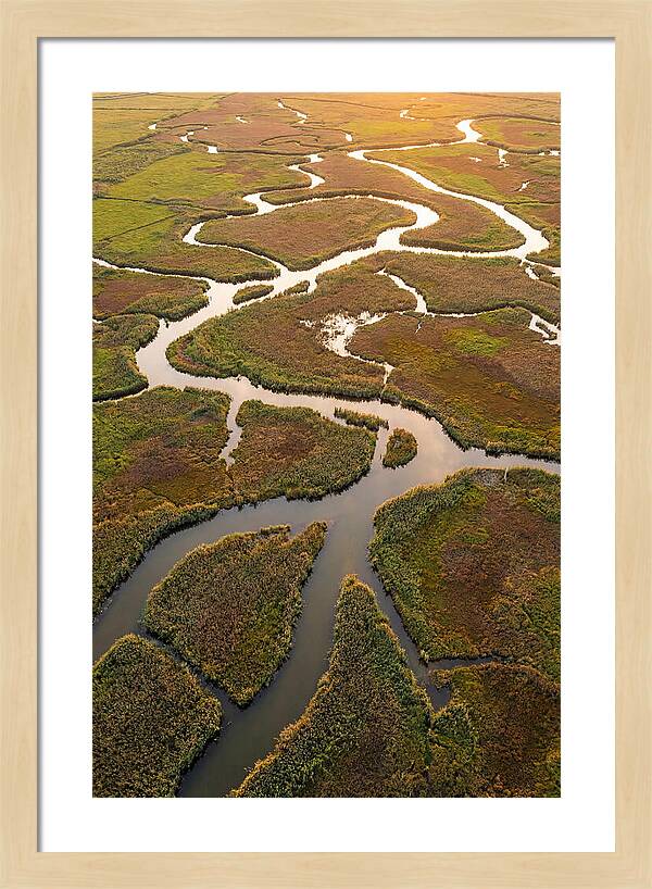 Aerial View Of Marshland Channels