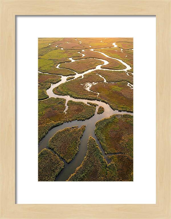 Aerial View Of Marshland Channels