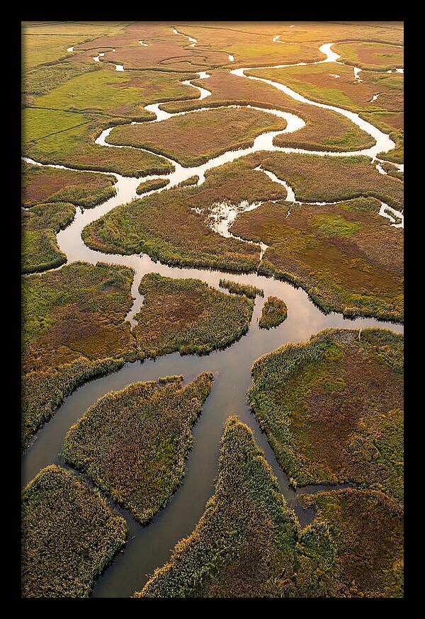 Aerial View Of Marshland Channels