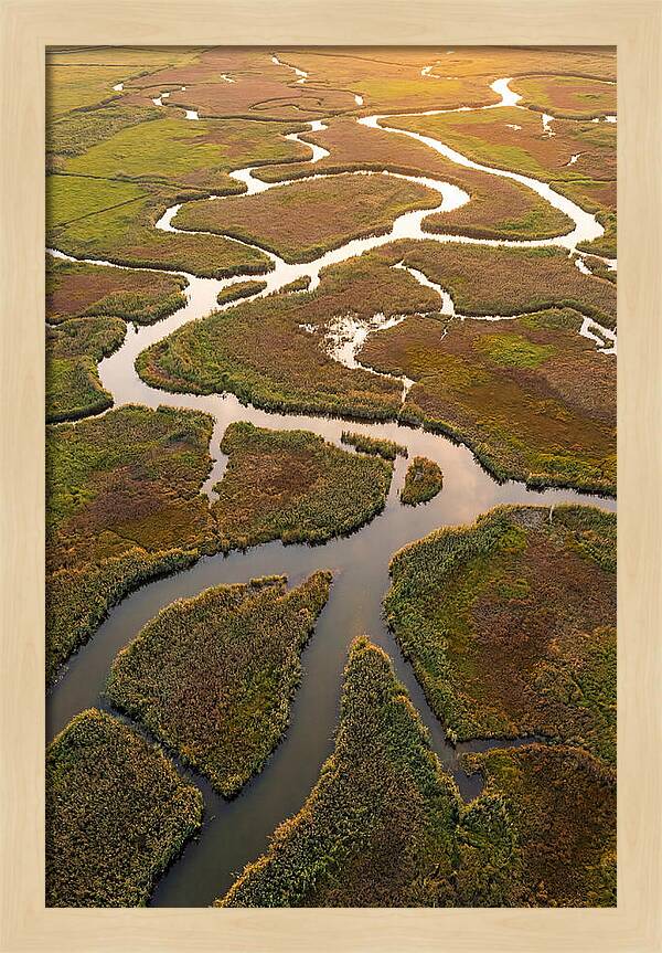 Aerial View Of Marshland Channels