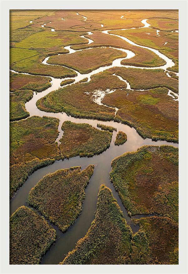 Aerial View Of Marshland Channels