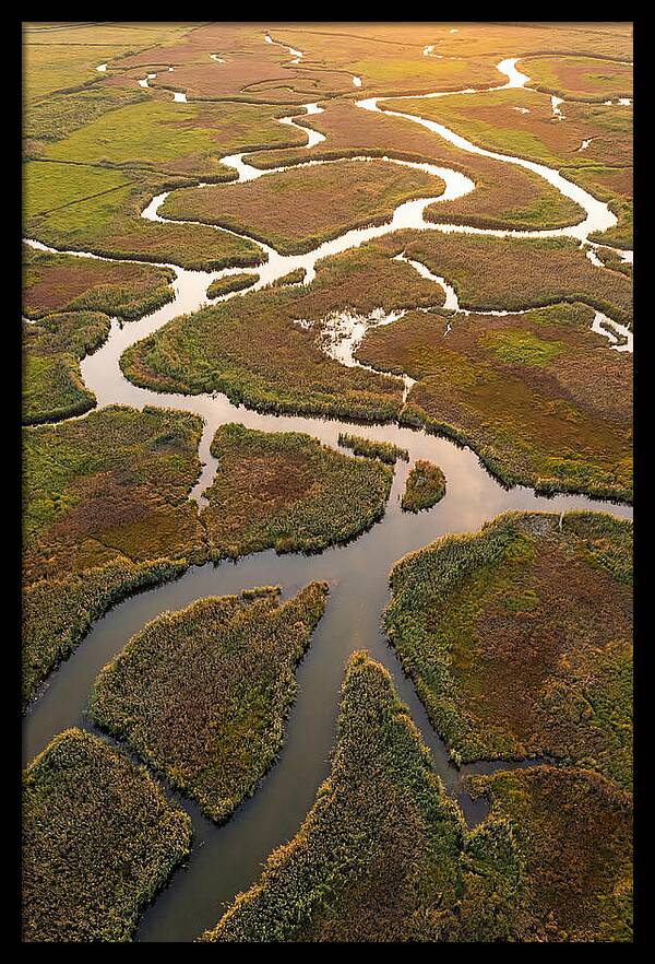 Aerial View Of Marshland Channels