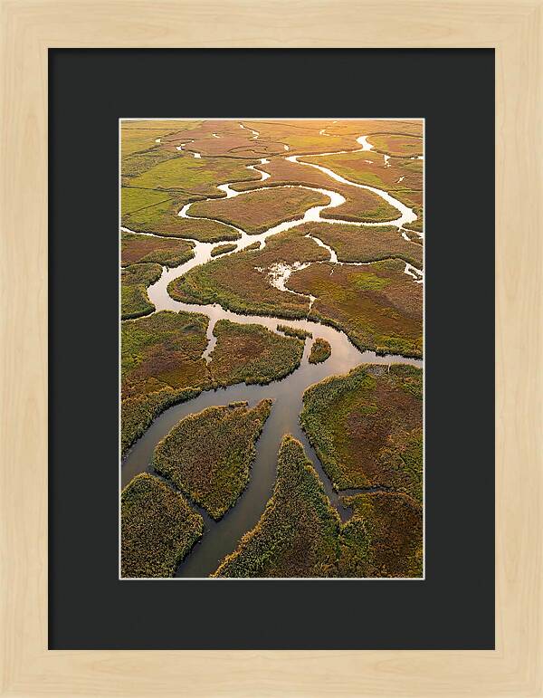 Aerial View Of Marshland Channels