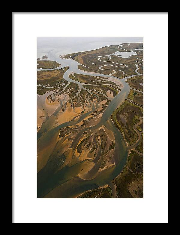 Aerial View Of River Delta