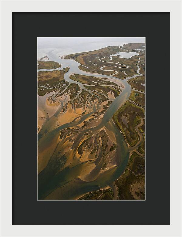 Aerial View Of River Delta
