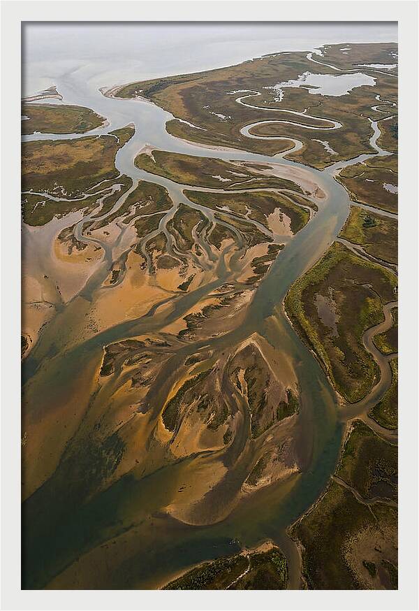 Aerial View Of River Delta