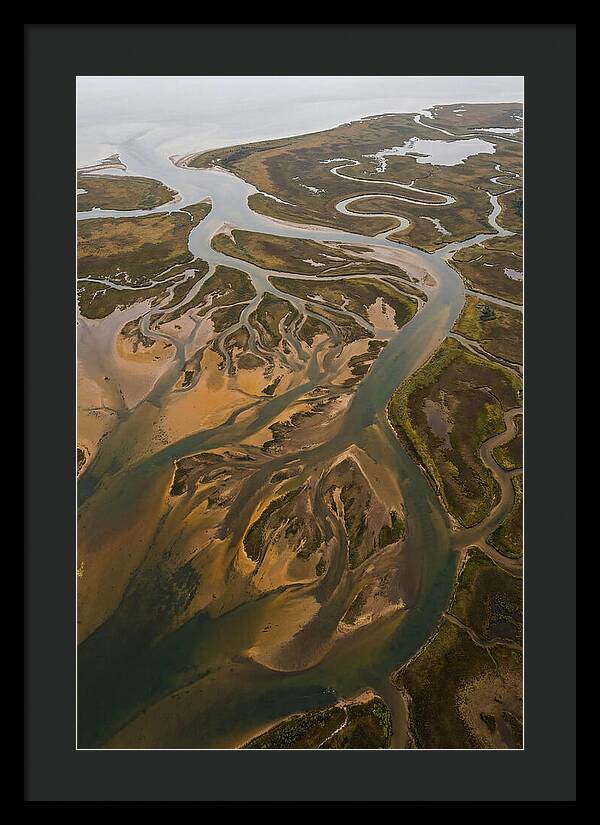 Aerial View Of River Delta