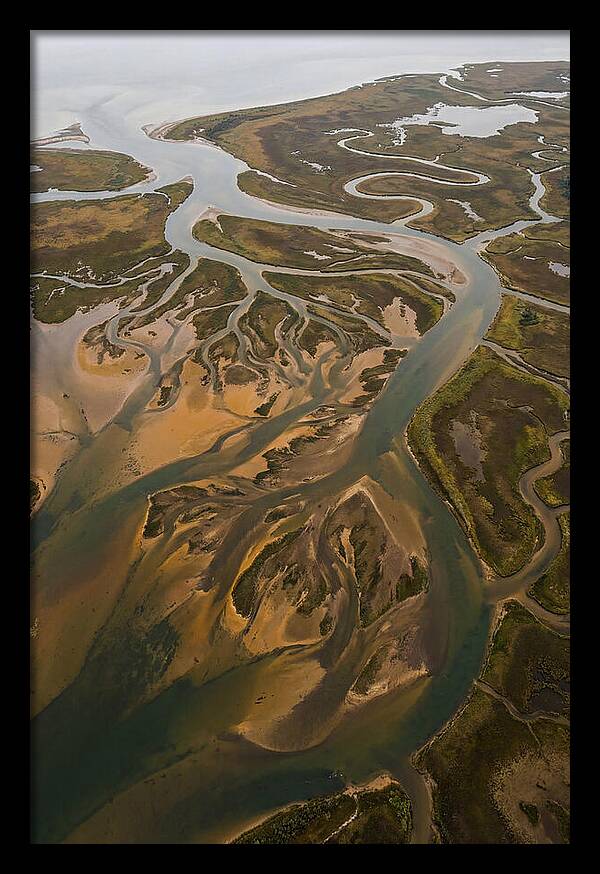 Aerial View Of River Delta