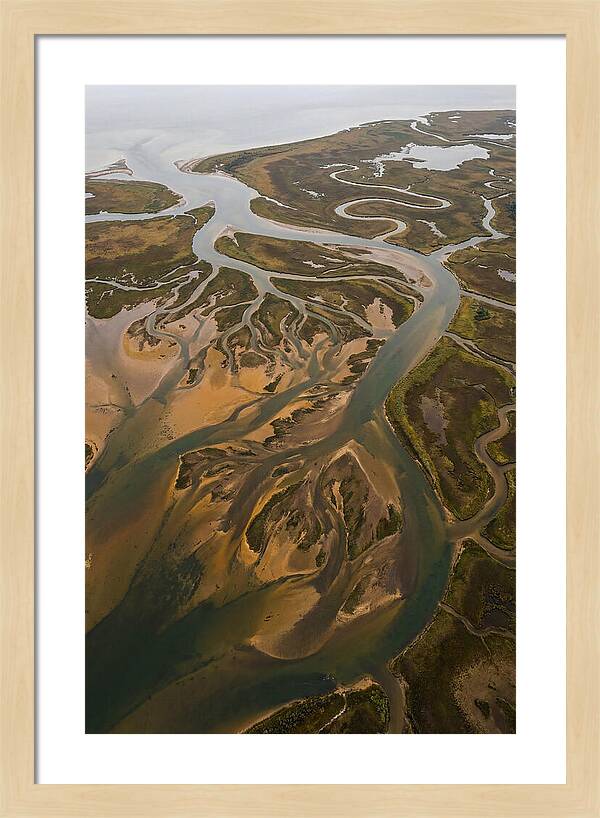 Aerial View Of River Delta