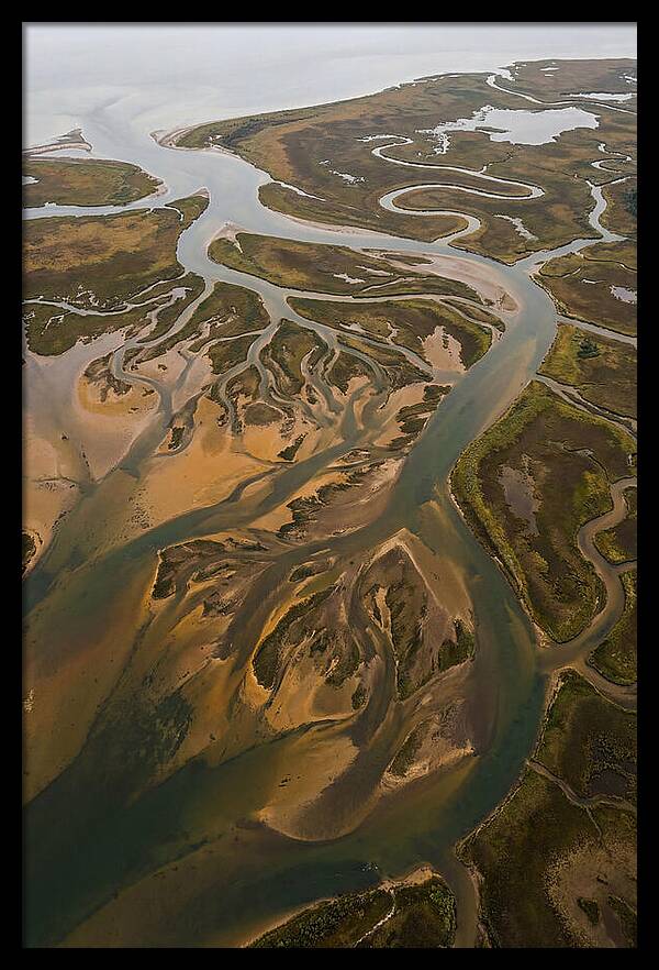 Aerial View Of River Delta