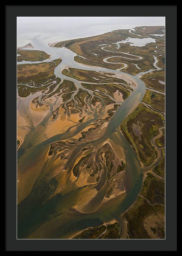 Aerial View Of River Delta
