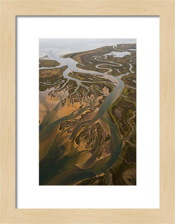 Aerial View Of River Delta