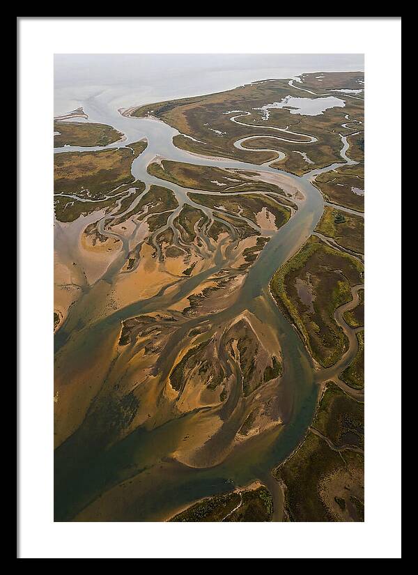 Aerial View Of River Delta