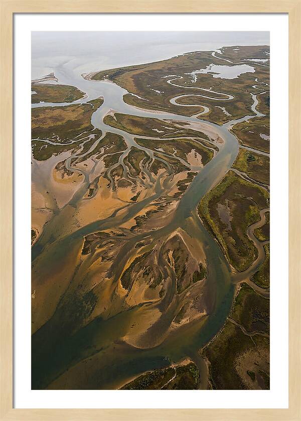 Aerial View Of River Delta