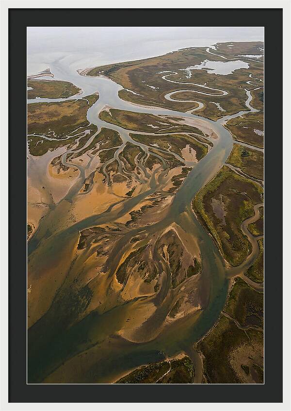 Aerial View Of River Delta