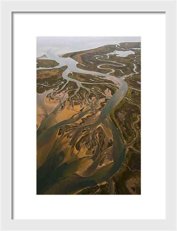 Aerial View Of River Delta