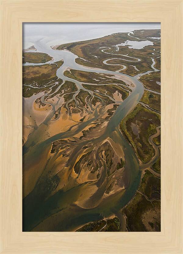 Aerial View Of River Delta