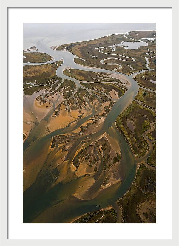 Aerial View Of River Delta