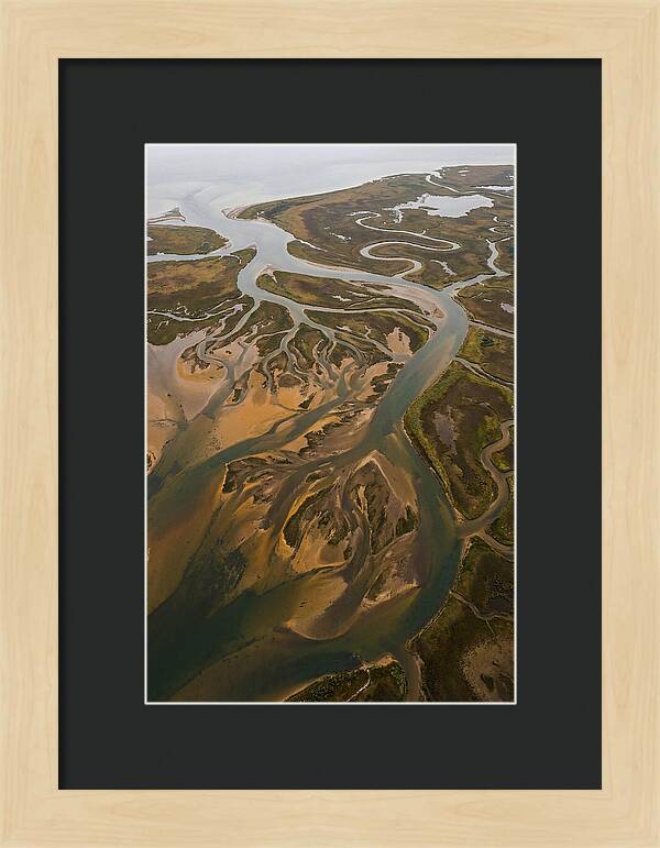 Aerial View Of River Delta