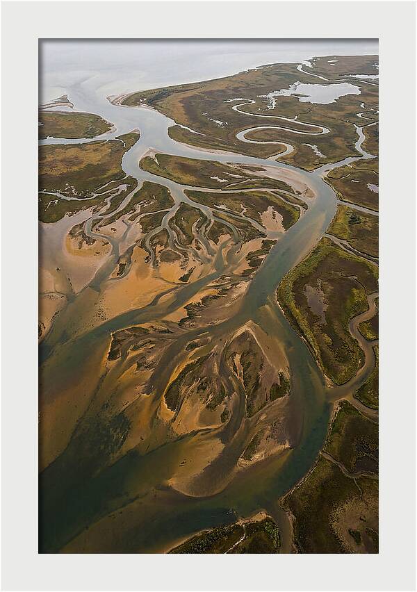 Aerial View Of River Delta
