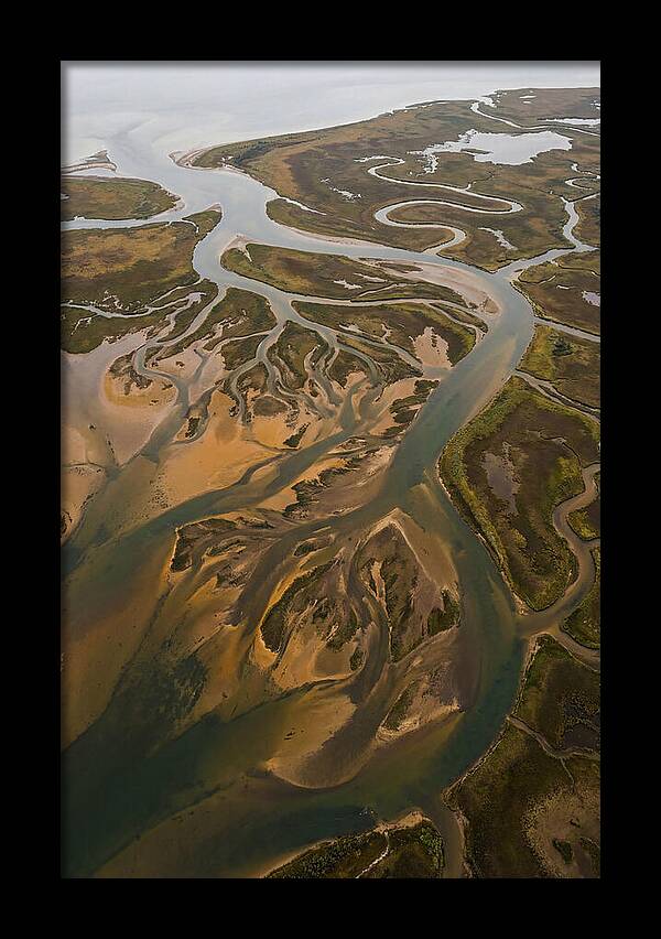 Aerial View Of River Delta