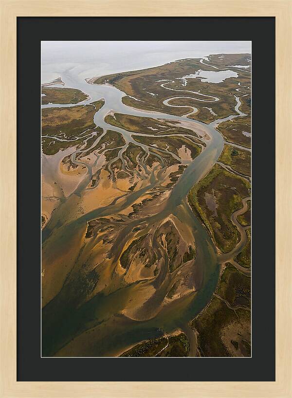 Aerial View Of River Delta