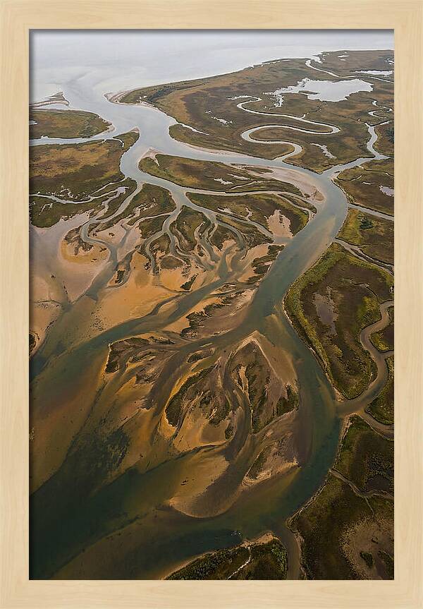 Aerial View Of River Delta