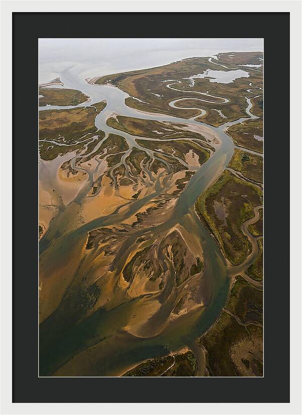 Aerial View Of River Delta