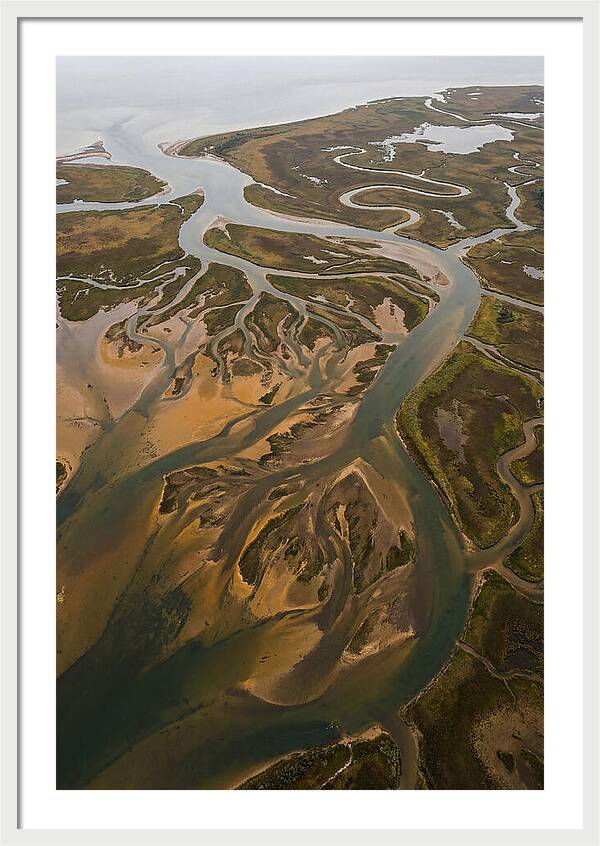 Aerial View Of River Delta