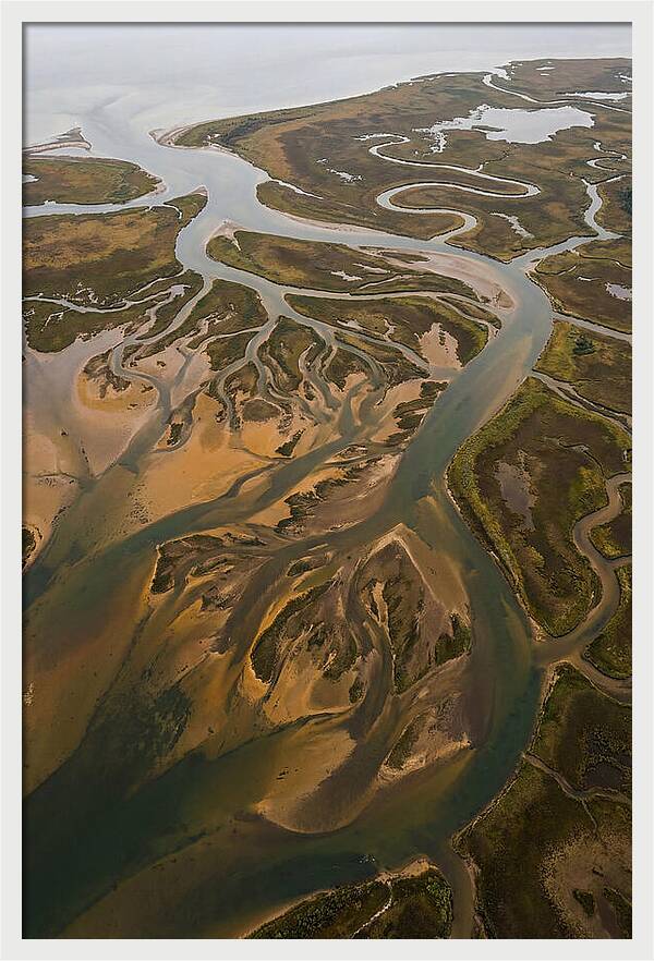 Aerial View Of River Delta