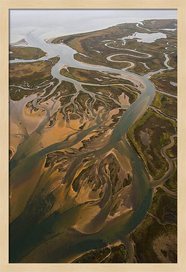 Aerial View Of River Delta