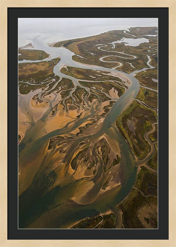 Aerial View Of River Delta