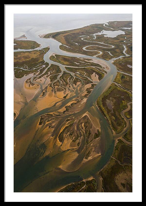Aerial View Of River Delta