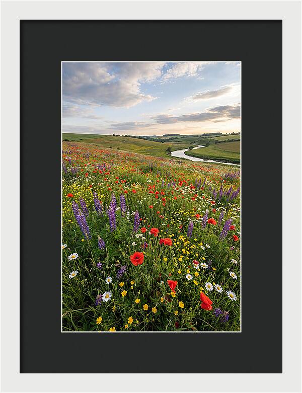 Aerial View Of Wildflower Meadow