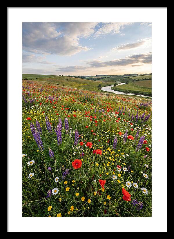 Aerial View Of Wildflower Meadow