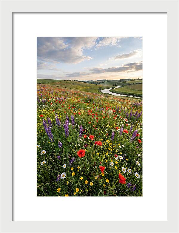 Aerial View Of Wildflower Meadow