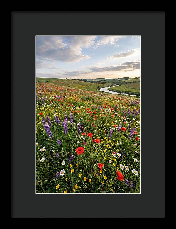 Aerial View Of Wildflower Meadow