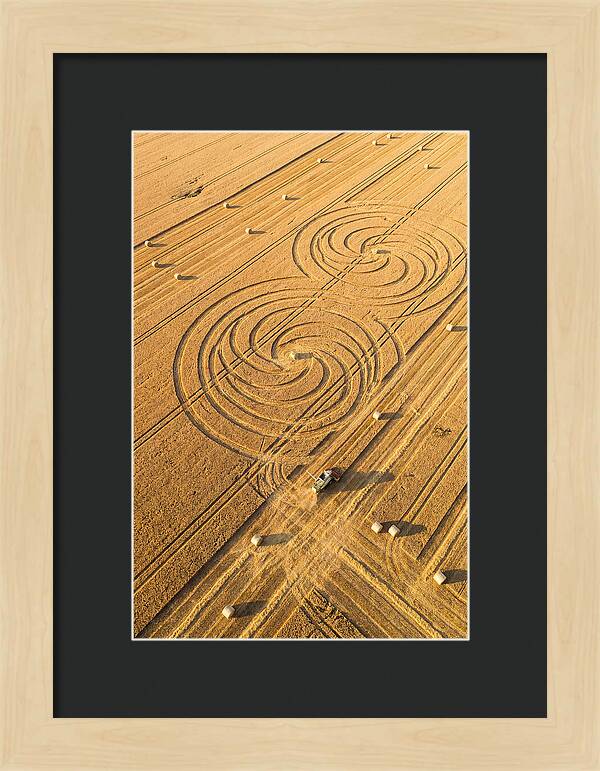 Aerial Wheat Harvest Patterns