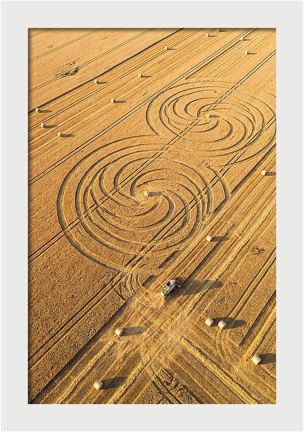 Aerial Wheat Harvest Patterns