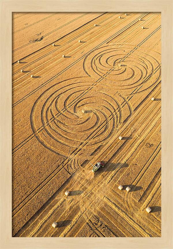 Aerial Wheat Harvest Patterns