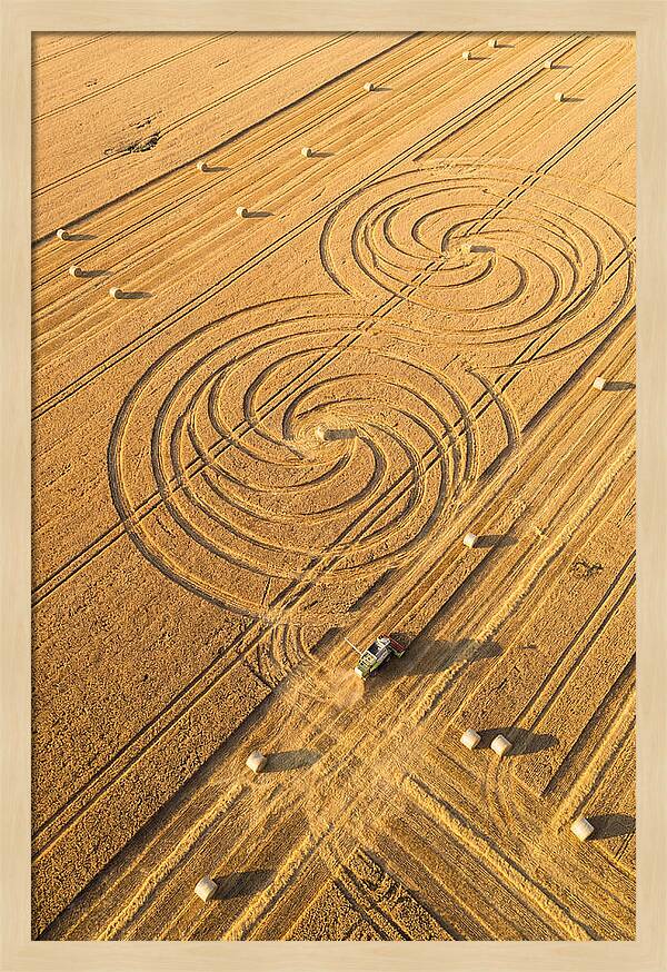 Aerial Wheat Harvest Patterns