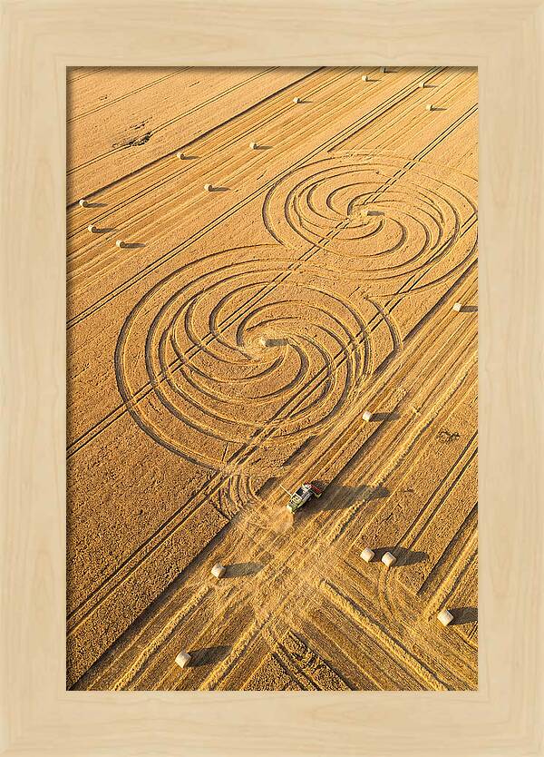 Aerial Wheat Harvest Patterns